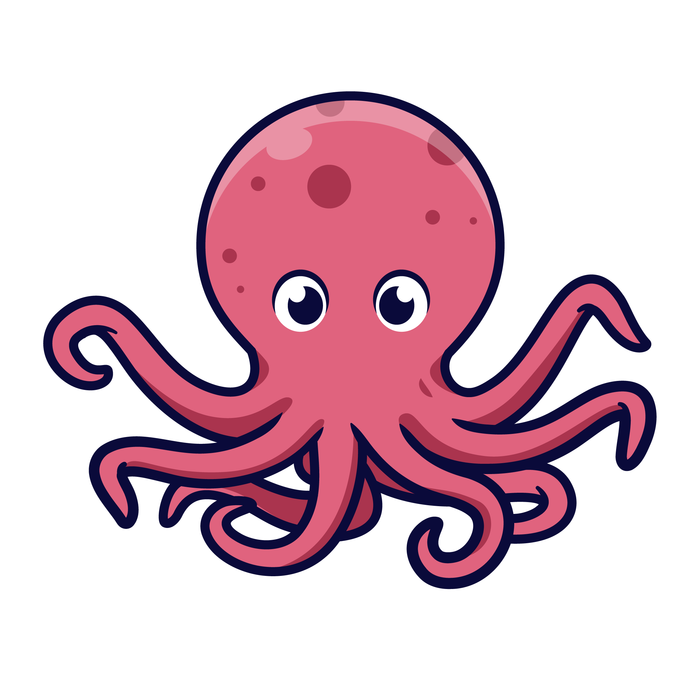 The Kraken